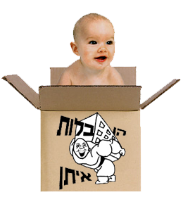 איתן הובלות